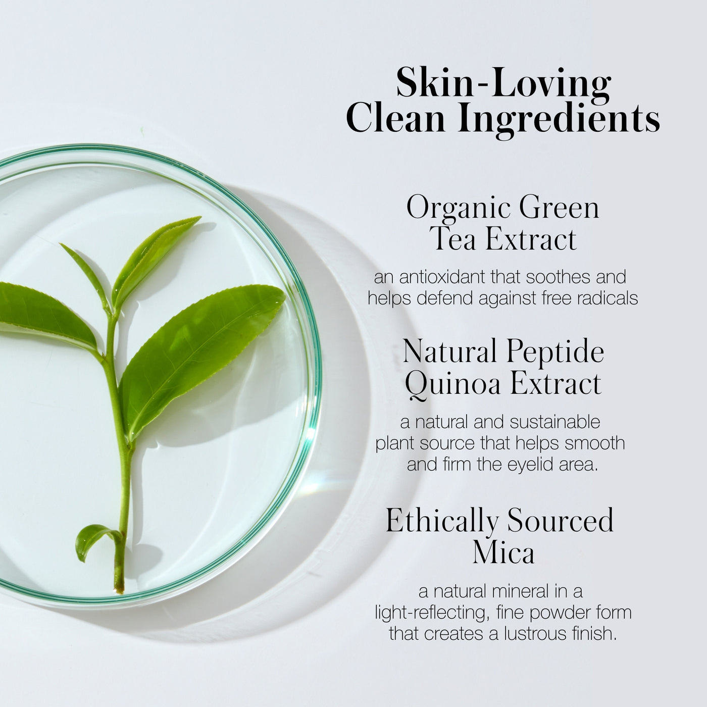RMS Beauty Eyelights Cream Eyeshadow