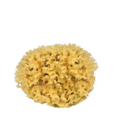 Natural Honeycomb Sea Sponge - Environmentally Sourced 20cm