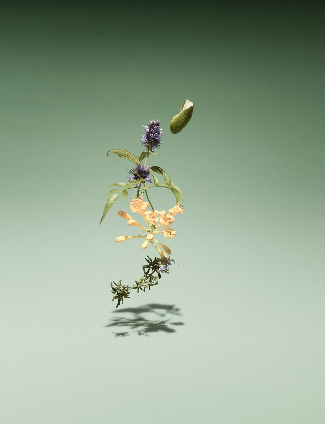【新品】Bamford WILD MEDOW香水 50ml Wild Meadow Bamford perfume - a fragrance for women and men 2021
