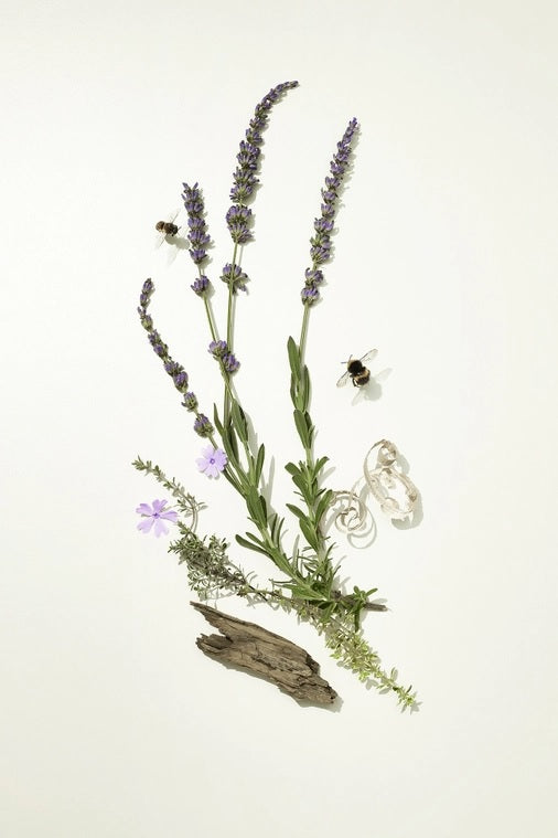 Bamford English Lavender Reed Diffuser 200ml 
